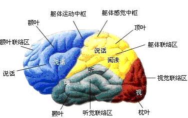 专家详解抽动症发生的五大因素