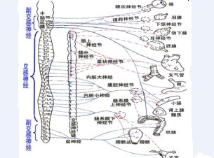 原来是我的心里有鬼